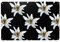 XDVPALNE Leontopodium Edelweiss, Wandkunstdrucke, Metallschild, Dekor, Wandbehang, Gemälde für Heimdekoration, 20 x 30 cm