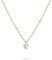 Tamaris Filigrane Halskette mit Herzanhänger TJ-0363-N-45 IP Gold