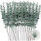 SXCCNW Eukalyptus Künstlich, 50 Stück Künstliche Eukalyptus Zweige, Eukalyptus Künstliche Pflanzen Eukalyptus Deko für Garten Hochzeit Party Home Dekoration Zubehör 38 cm Grün