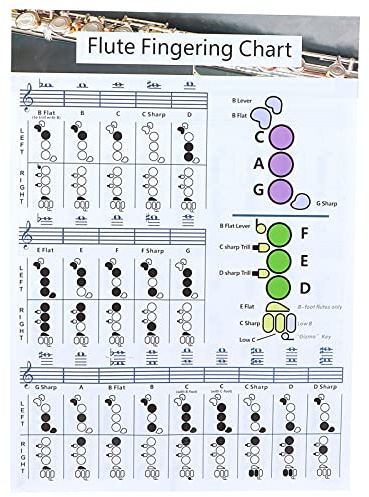 Flöten-Akkordtabelle, Tragbare Flöten-Grifftabelle, Weiße Akkordtabelle Zum Üben des Flöten-Fingersatzes, Flöten-Griff-Akkordtabelle für Anfänger, (Grifftabelle für Flöte, groß