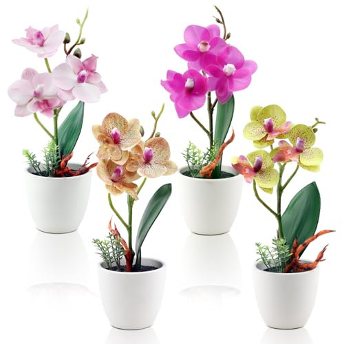 ginojex 4 fiori artificiali orchidea Phalaenopsis finta piccola pianta in vaso vaso in ceramica per centrotavola casa ufficio bagno decorazione matrimonio