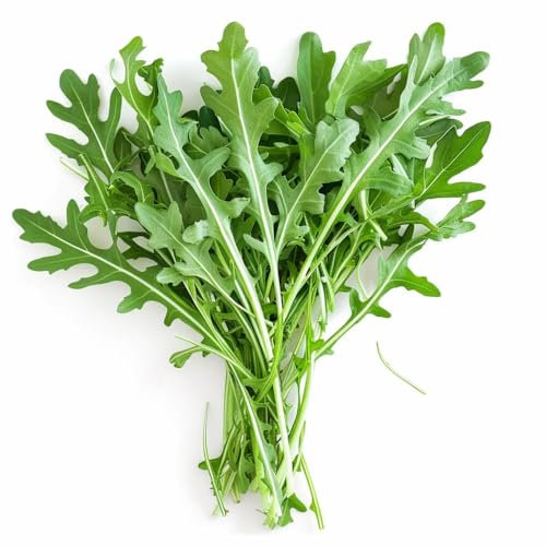 500 Semillas de rúcula - SemiSauvage Permacultura