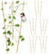 KADAX Bambusleiter, 5er Set, Stützleiter für Blumen, Garten-Pflanzenstütze aus Bambusholz, Blumengitter, Rankhilfe, Gitterspalier V-Form, Kletterhilfe (H:60cm, dreifach)