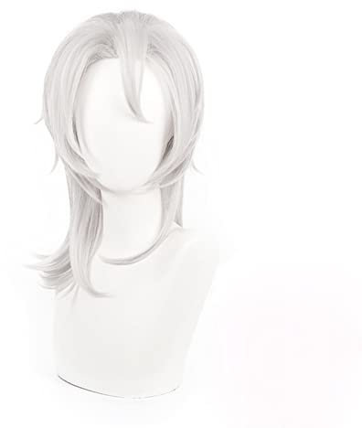 maysuwell Anime-Perücke Cosplay-Perücken für Männer und Frauen Graue Kurzhaar-Perücke für Halloween, Karneval, Kostümparty mit Perückenhaube