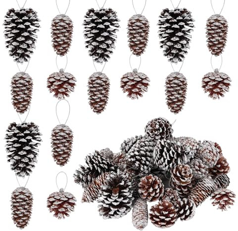 Anstore 42Pcs Christmas Pine Cones Decoration,Natural Hanging Snow Pine Cones with String,Festival Christmas Ornaments for DIY Crafts Home Xmas Tree Winter Wreath Garlands Wedding Decoration(4-10cm)