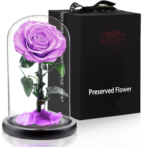 APKOL Rosa Eterna Bajo una Cúpula de Cristal, Rosa Eterna Natural Preservada, Flor Eterna, San Valentin Regalos Mujer, Regalos para Madres,Regalo Novia,Regalos para Mujer Navidad,Morado