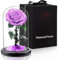 APKOL Rosa Stabilizzata Vera in Vetro, Rosa Eterna Realizzati con Rose Vere, Fiori Stabilizzati sotto Vetro a Cupola, Regalo Donna Compleanno, Regalo Mamma, Regalo Fidanzata, Moglie,Viola