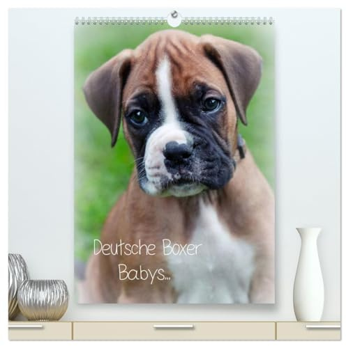 Deutsche Boxer Babys... (hochwertiger Premium Wandkalender 2026 DIN A2 hoch), Kunstdruck in Hochglanz: 12 Bilder von Boxergeschwistern! (CALVENDO Tiere)
