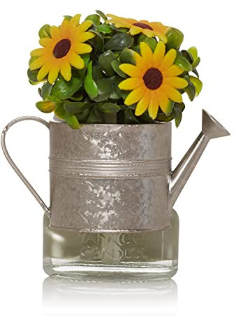 Yankee Candle Gießkanne ScentPlug® Diffusor