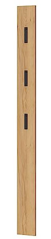 Lomadox Garderobenpaneel Wandgarderobe in Eiche mit ausklappbaren Metallhaken, B/H/T ca. 15/170/3 cm