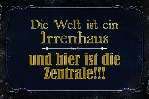 Ontrada Blechschild 12x18cm gewölbt Welt ist ein Irrenhaus und Schild
