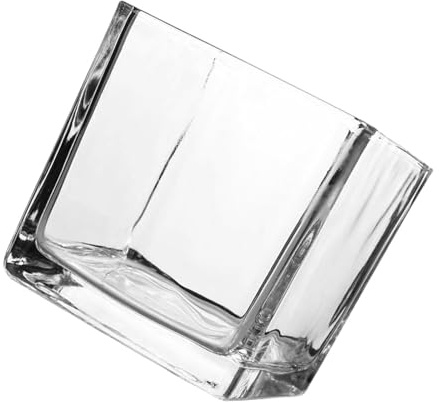 OKUMEYR Jarrón Cuadrado de Vidrio Transparente para Hidroponía Decoración Moderna de Escritorio para Plantas Florero Simple y Elegante para Hogar y Oficina