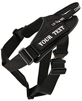 Dingo Gear Geschirr für Hunde in der Arbeit GroßeTraining IPO Ausbildung Cobra System handgefertigt Multifunktions Arbeitsgeschirr (XL Personalisierung Inschrift, Schwarz) AM03197
