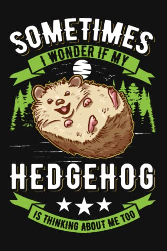 Igel Notizbuch: Igel Geschenk Stacheligel / 6x9 Zoll / 120 karierte Seiten