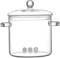 Ollas de vidrio para cocinar en la estufa, olla de vidrio, una olla de cocción a fuego lento de vidrio transparente 3L estufa de cocinero grande Top de borosilicato seguro con manijas integradas, oll