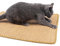 Ausomely Sisalteppich Naturfaser Ideal Kratzmatte für Katzen | schadstofffrei & widerstandsfähig | Sisal Kratzteppich in Vielen Farben und Größen