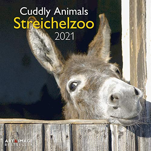 Streichelzoo 2021 - Wand-Kalender - Broschüren-Kalender - A&I - 30x30 - 30x60 geöffnet: Cuddly Animals