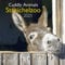 Streichelzoo 2021 - Wand-Kalender - Broschüren-Kalender - A&I - 30x30 - 30x60 geöffnet: Cuddly Animals