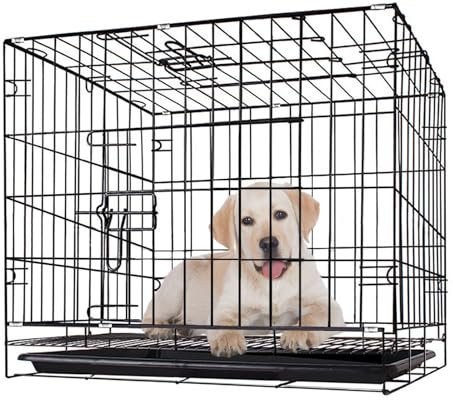 COMPOLICY 60x43x51cm Small Dog Crate with 2 Doors Foldable and Top-Opening Metal Dog Cage for Puppy Training Removable Plastic Tray Easy Clean Anti-Rust Coating and Secure Sliding Lock Black