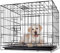 COMPOLICY 60x43x51cm Small Dog Crate with 2 Doors Foldable and Top-Opening Metal Dog Cage for Puppy Training Removable Plastic Tray Easy Clean Anti-Rust Coating and Secure Sliding Lock Black