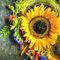 20 Servietten Sonnenblume im Naturgesteck/Blumen/Herbst 33x33cm