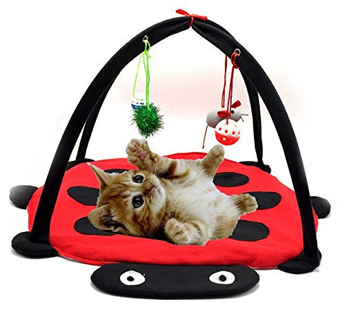 XCSSKG Spielmatte für Katzen, zusammenklappbar, mit Spielzeug zum Aufhängen