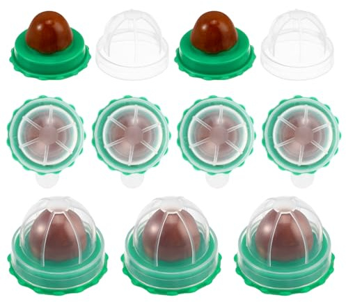 GALPADA 10pièces Friandises à pour Chats Sucre à Herbe Mural Boule Herbe Complément Alimentaire Vitamines pour Éliminer Poils