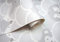 Holden Decor Over The Rainbow Peek a Boo Children's Wallpaper Grey 91030
