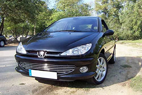 Luxyline Baguette de calandre chromée Compatible Peugeot 206 Peugeot 206 CC Peugeot 206 SW