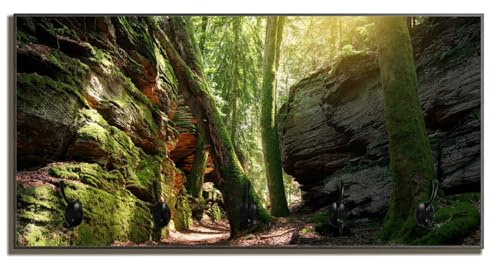 Wallario Wandgarderobe aus Holz in Größe 80 x 40 cm in Premium-Qualität, Motiv: Moosbewachsener Waldpfad im Sonnenlicht | 5 Kleiderhaken zum Aufhängen