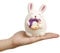 ANBOOR Squeeze Spielzeug Kaninchen Squishy Jumbo Kawaii Weiches Langsam Steigendes Süßes Duftendes Tier Squishies Stressabbau