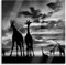 Pixxprint Glasbild, Wandbild auf Echtglas, Afrika Giraffen im Sonnenuntergang, 60x60 cm, inkl. Aufhängung und Abstandshalter