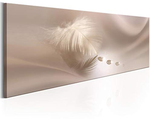 decomonkey Bilder Feder 150x50 cm 1 Teilig Leinwandbilder Bild auf Leinwand Wandbild Kunstdruck Wanddeko Wand Wohnzimmer Wanddekoration Deko Tropfen rosa beige