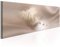decomonkey Bilder Feder 150x50 cm 1 Teilig Leinwandbilder Bild auf Leinwand Wandbild Kunstdruck Wanddeko Wand Wohnzimmer Wanddekoration Deko Tropfen rosa beige