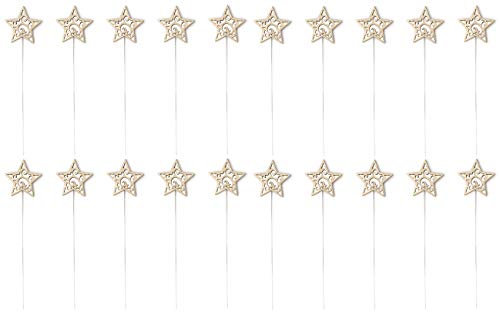 DARO DEKO Blumen-Stecker Stern braun mit Muster und Metallstab 20 Stück