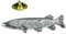 Anstecknadel aus Zinn, Hecht, Fische, mit Geschenkbeutel