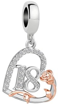 ZakiaHo 18 18th Birthday Charms for Pandora Bracelets Womens Christmas Rose Flower Love Heart Charm Beads Gifts for Sister Compatible with Pandora Bracelets Necklaces