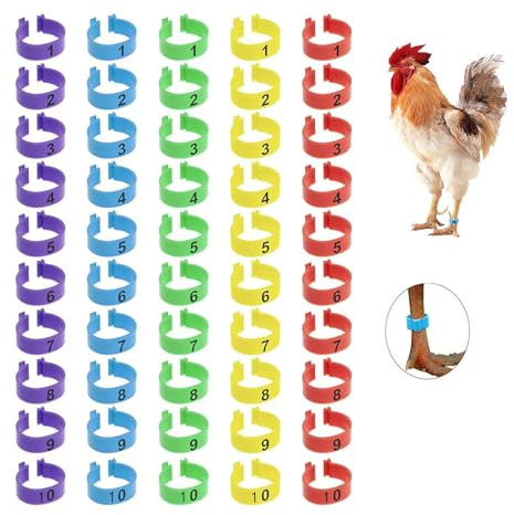 Huhn Bein Ringe,50PCS nummeriert Clip auf Bein Ringe mehrere Farbe Huhn Identifikation Bein Bands nummeriert Clip auf Bein Ringe Fuß Runde Tag Clips für Huhn Ente Taube Gans (16mm)