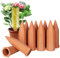BBWELL 10er Set Tonkegel Bewässerung, für Pflanzen Bewässerung, für Zimmerpflanzen Bewässerung, für Pflanzen im Urlaub Bewässerung, Wein und PET Flaschen Bewässerungskegel, Langlebig und Effizient