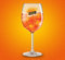 Lots de 6 verres spritz aperol