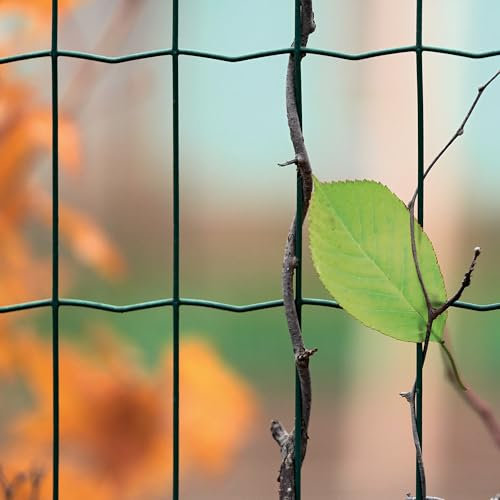 WERKA PRO Grillage soudé Vert en Rouleau de 25m 1,5 x 25m