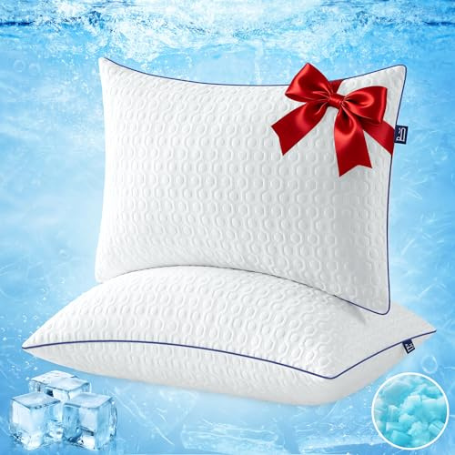 BedStory Oreillers Rafraîchissant - Lot de 2 - Mémoire Forme - 40x60CM | Housse Lavable Soie Glacée - Hauteur Personnalisable- Hypoallergéniques - Ferme et adaptable - Ergonomique Cervical
