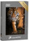 puzzleYOU: Puzzle 2000 Teile „Junger Sumatra-Tiger“ – aus der Puzzle-Kollektion Tiger, Tiere in Savanne & Wüste