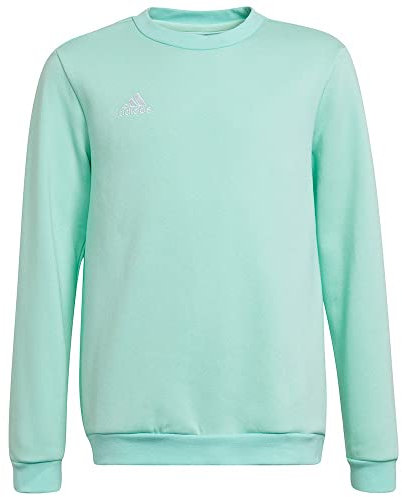 adidas Unisex Kids Entrada 22 Sweat Top, Clear Mint, 5-6 Years