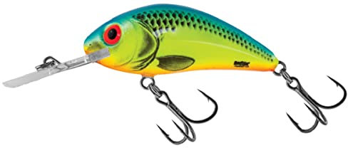 Salmo Rattlin Hornet Floating Wobbler