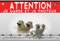 Cartel de metal Atención al perro perro de montaña de los pireneos