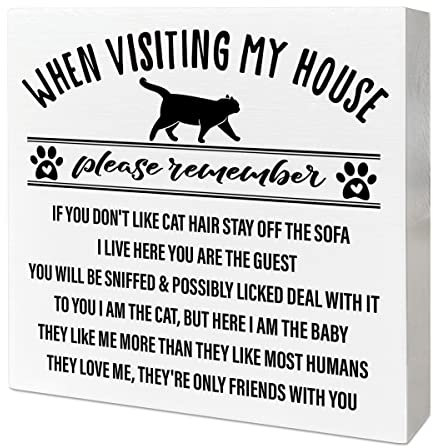 Cat Desk Decor Wooden Box Sign, When Visiting My House, Funny Cat Decor for Home Bedroom Office Cat Lovers Desk Decoration for Room, Funny Cat Lovers Gifts for Women Girl Men, Cat Mom Cat Dad Gifts