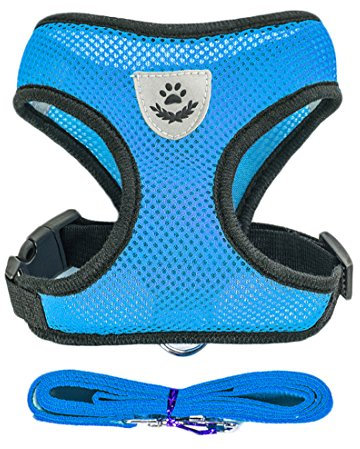 Air Mesh Hundegeschirr Atmungsaktiv Welpengeschirr für Klein Hunde Vest Harness Brustgeschirre Haustier Softgeschirr mit 1,1M Hundeleine Führleine Schleppleine (L, blau)