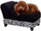 PawHut Sofa für kleine und mittelgroße Hunde mit Stauraum, gepolstertes Holz und Plüsch Hundesofa, 57x34x36 cm, Schwarz und Weiß