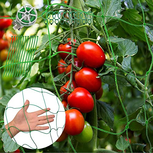 Malla para Jardin Exterior, Red de Enrejado Jardín, Enredadera Malla, Sea Tutores para Plantas Tomates y Plantas Trepadoras, Utilizado en Huerto - Invernadero - Balcone Malla Entutorar y Tutor 5m×1.8m
